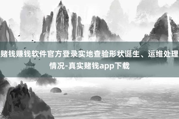 赌钱赚钱软件官方登录实地查验形状诞生、运维处理情况-真实赌钱app下载