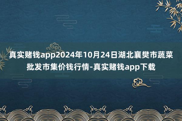 真实赌钱app2024年10月24日湖北襄樊市蔬菜批发市集价钱行情-真实赌钱app下载
