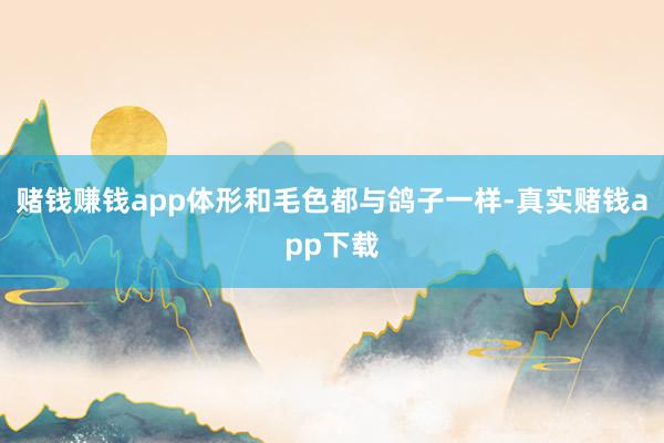 赌钱赚钱app体形和毛色都与鸽子一样-真实赌钱app下载