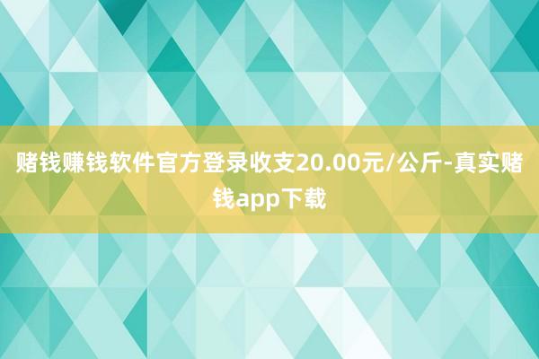 赌钱赚钱软件官方登录收支20.00元/公斤-真实赌钱app下载