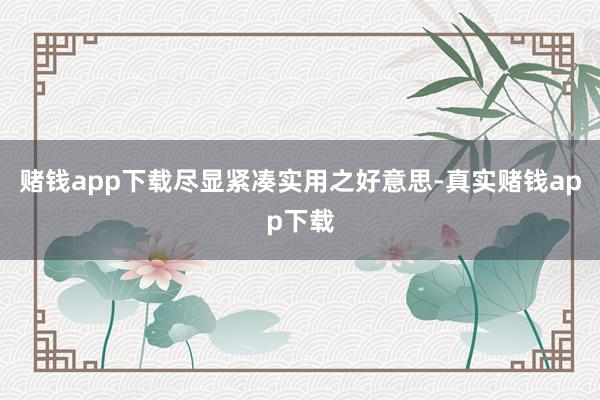 赌钱app下载尽显紧凑实用之好意思-真实赌钱app下载