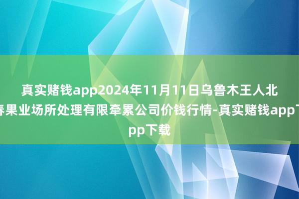 真实赌钱app2024年11月11日乌鲁木王人北园春果业场所处理有限牵累公司价钱行情-真实赌钱app下载