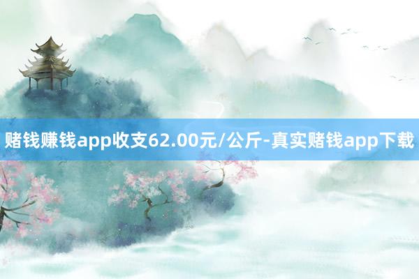 赌钱赚钱app收支62.00元/公斤-真实赌钱app下载