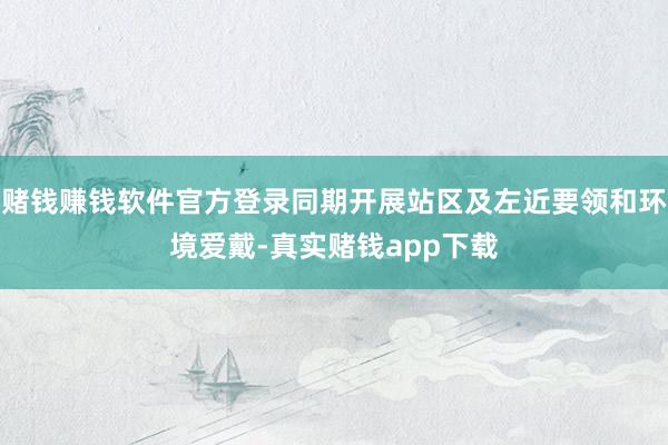 赌钱赚钱软件官方登录同期开展站区及左近要领和环境爱戴-真实赌钱app下载