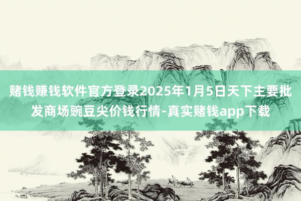 赌钱赚钱软件官方登录2025年1月5日天下主要批发商场豌豆尖价钱行情-真实赌钱app下载