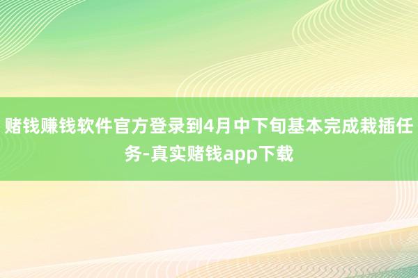 赌钱赚钱软件官方登录到4月中下旬基本完成栽插任务-真实赌钱app下载