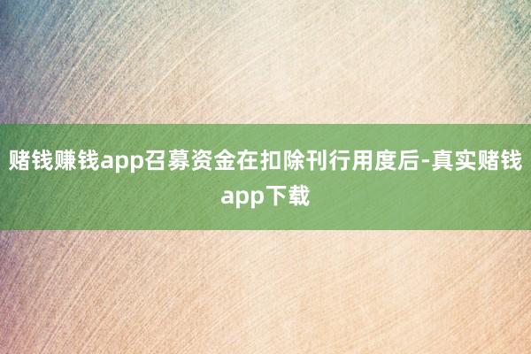 赌钱赚钱app召募资金在扣除刊行用度后-真实赌钱app下载
