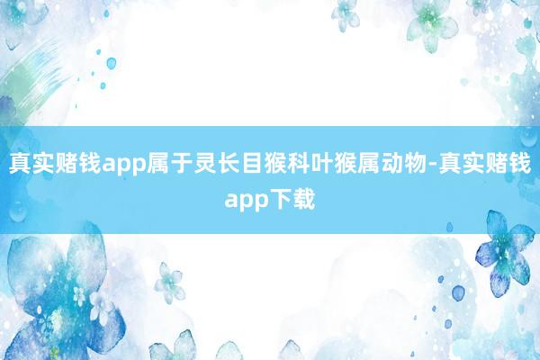 真实赌钱app属于灵长目猴科叶猴属动物-真实赌钱app下载