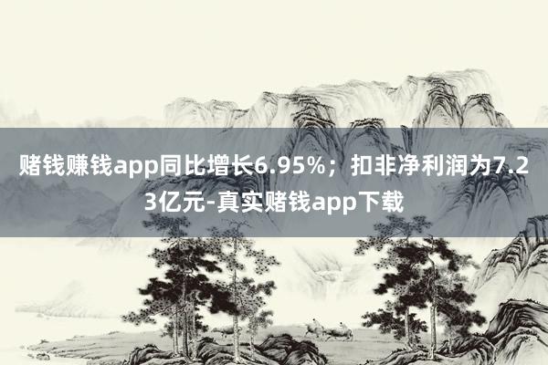 赌钱赚钱app同比增长6.95%；扣非净利润为7.23亿元-真实赌钱app下载