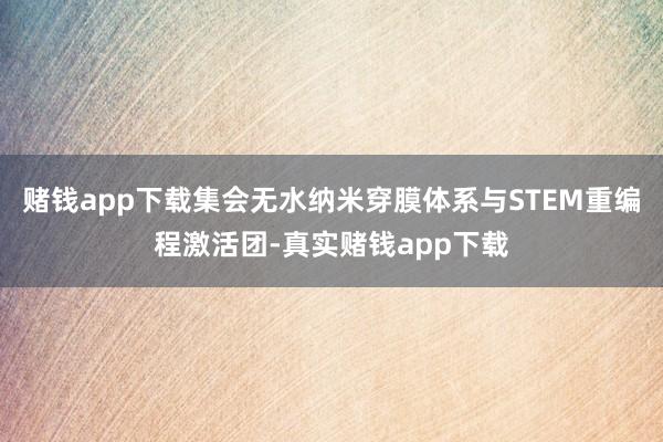 赌钱app下载集会无水纳米穿膜体系与STEM重编程激活团-真实赌钱app下载