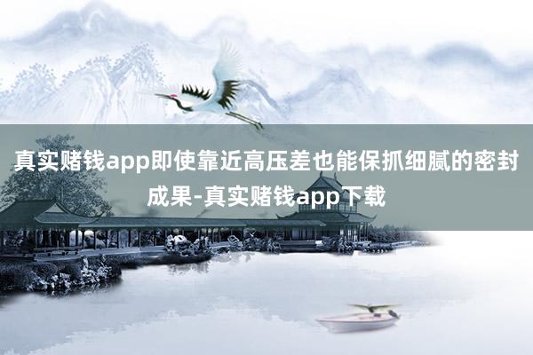 真实赌钱app即使靠近高压差也能保抓细腻的密封成果-真实赌钱app下载