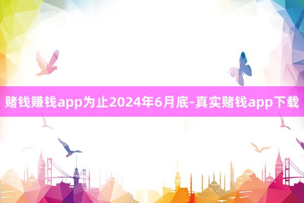 赌钱赚钱app为止2024年6月底-真实赌钱app下载