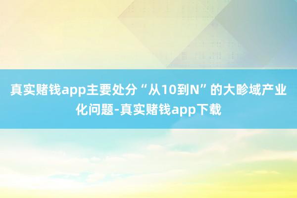 真实赌钱app主要处分“从10到N”的大畛域产业化问题-真实赌钱app下载