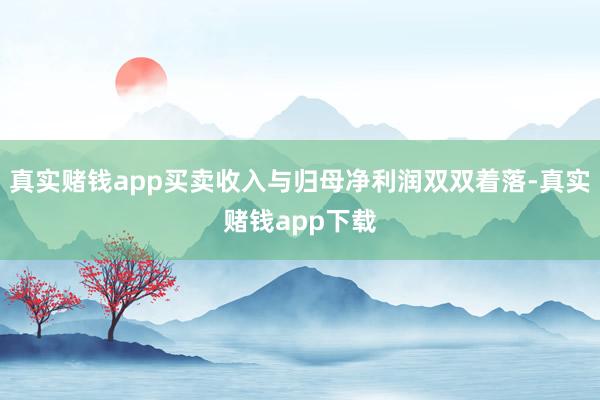 真实赌钱app买卖收入与归母净利润双双着落-真实赌钱app下载