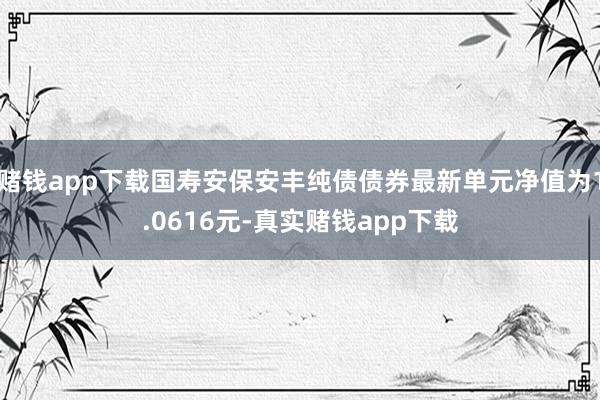 赌钱app下载国寿安保安丰纯债债券最新单元净值为1.0616元-真实赌钱app下载