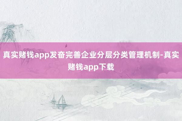 真实赌钱app发奋完善企业分层分类管理机制-真实赌钱app下载